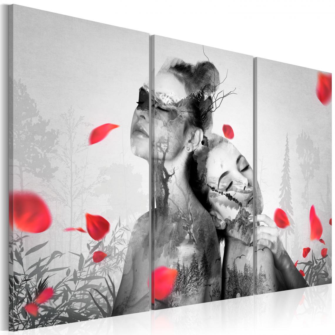 Decoshop26 - Tableau sur toile en 3 panneaux décoration murale image imprimée cadre en bois à suspendre Beauté naturelle 90x60 cm 11_0007391 - Tableaux, peintures
