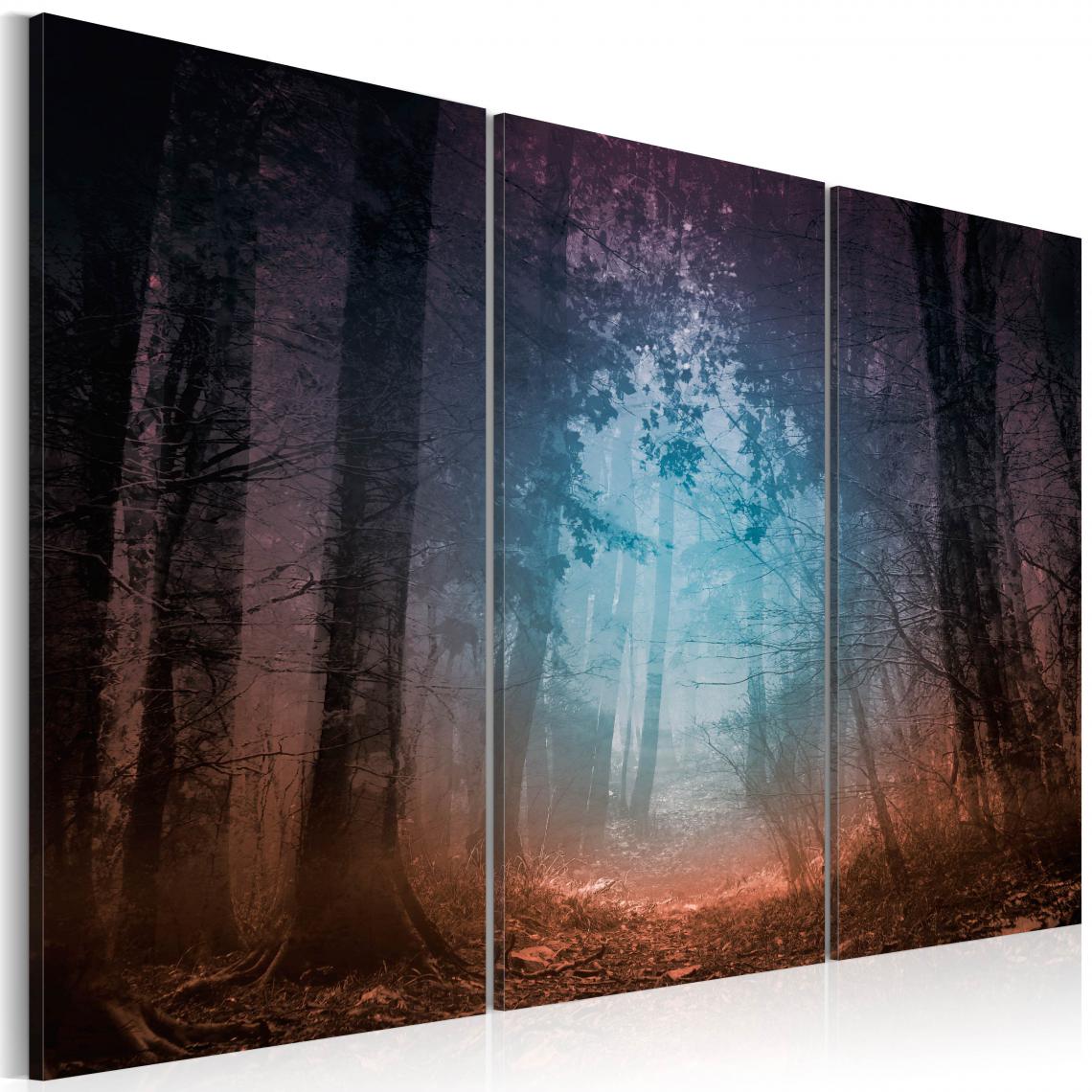 Decoshop26 - Tableau sur toile en 3 panneaux décoration murale image imprimée cadre en bois à suspendre Bord de la forêt - triptyque 120x80 cm 11_0006138 - Tableaux, peintures