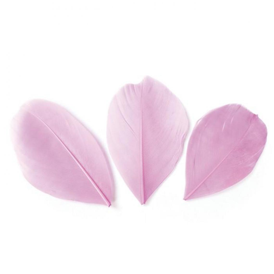 Graines Creatives - 50 plumes coupées - Rose pâle 6 cm - Objets déco