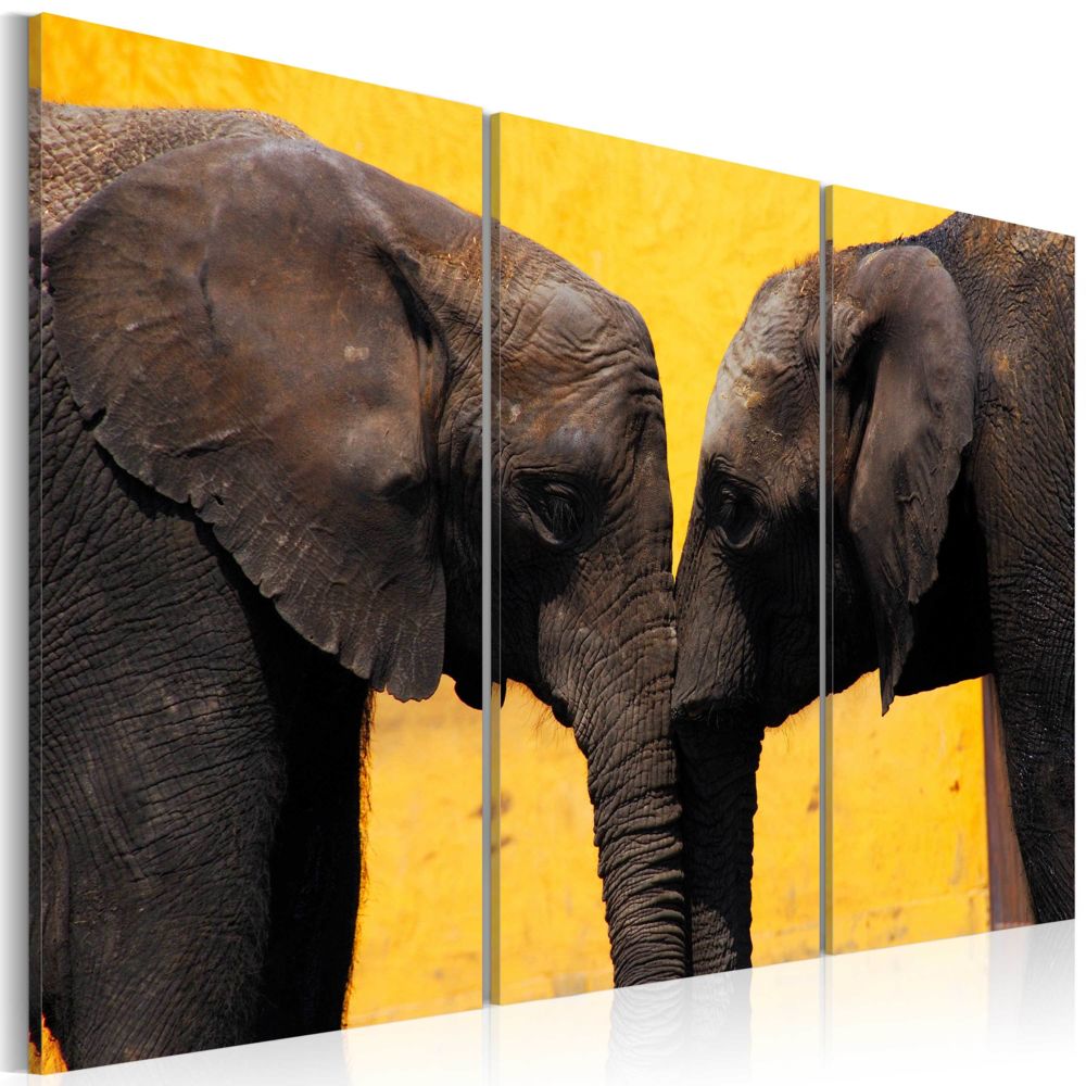Bimago - Tableau - Boisou des éléphents - Décoration, image, art | Animaux | Éléphants | - Tableaux, peintures