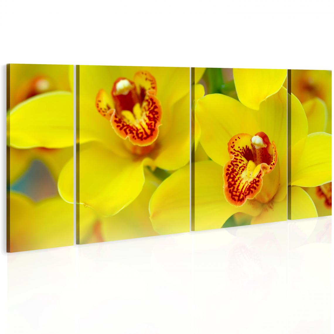 Decoshop26 - Tableau sur toile en 4 panneaux décoration murale image imprimée cadre en bois à suspendre Orchidées - intensité de la couleur jaune 120x60 cm 11_0005516 - Tableaux, peintures