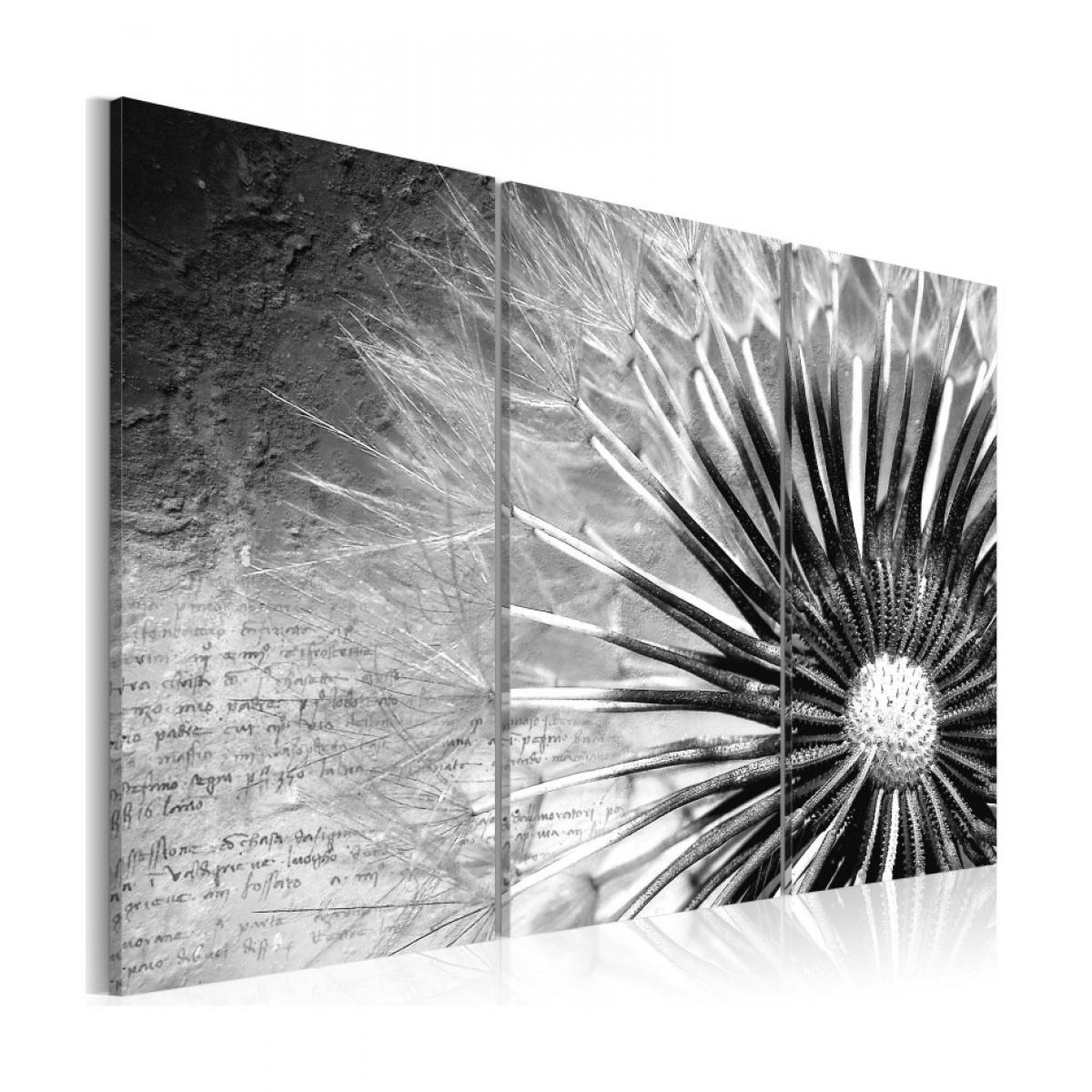 Artgeist - Tableau - pissenlit (noir et blanc) 120x80 - Tableaux, peintures
