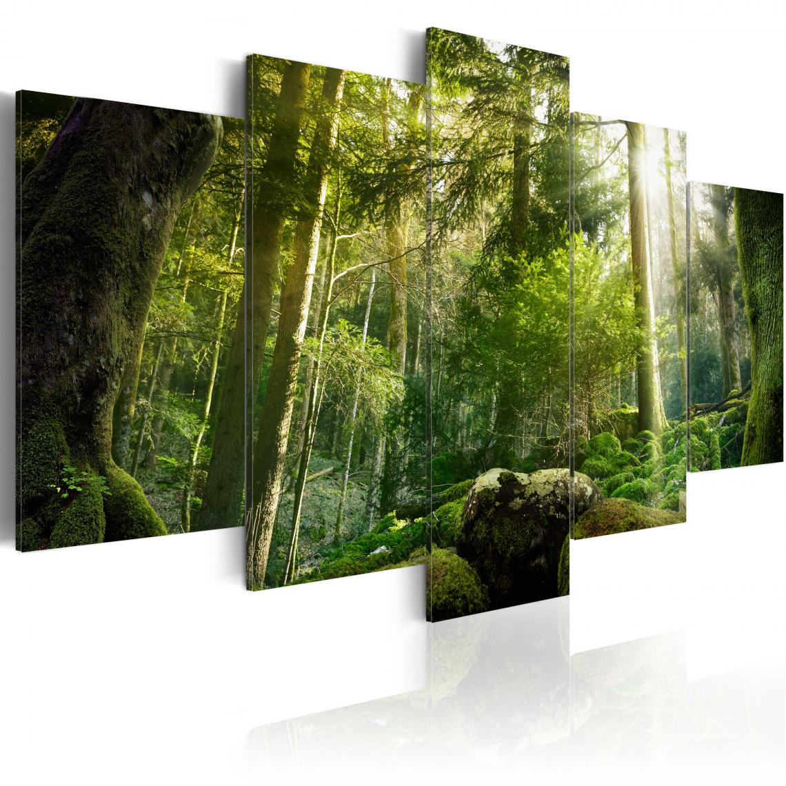 Decoshop26 - Tableau sur toile en 5 panneaux décoration murale image imprimée cadre en bois à suspendre Beauté de la forêt 200x100 cm 11_0006220 - Tableaux, peintures