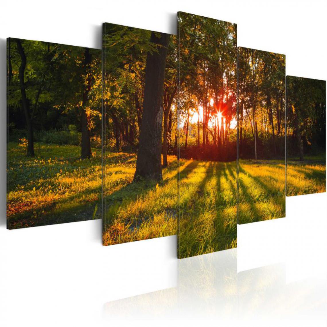 Artgeist - Tableau - In the shade of forest .Taille : 200x100 - Tableaux, peintures