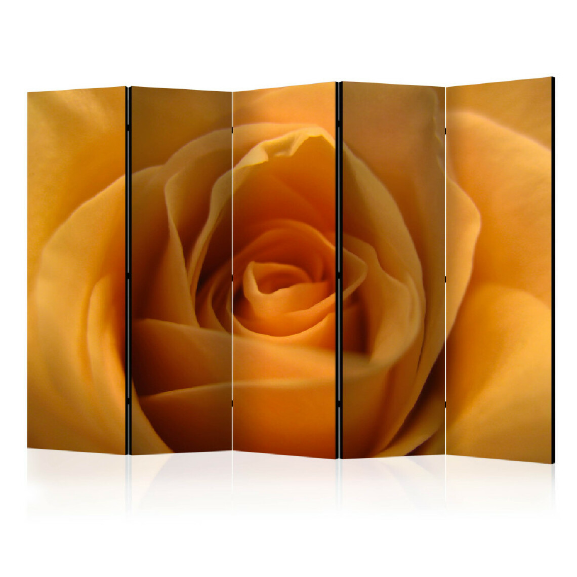 Artgeist - Paravent 5 volets - Yellow rose – a symbol of friendship II [Room Dividers] 225x172 - Paravents