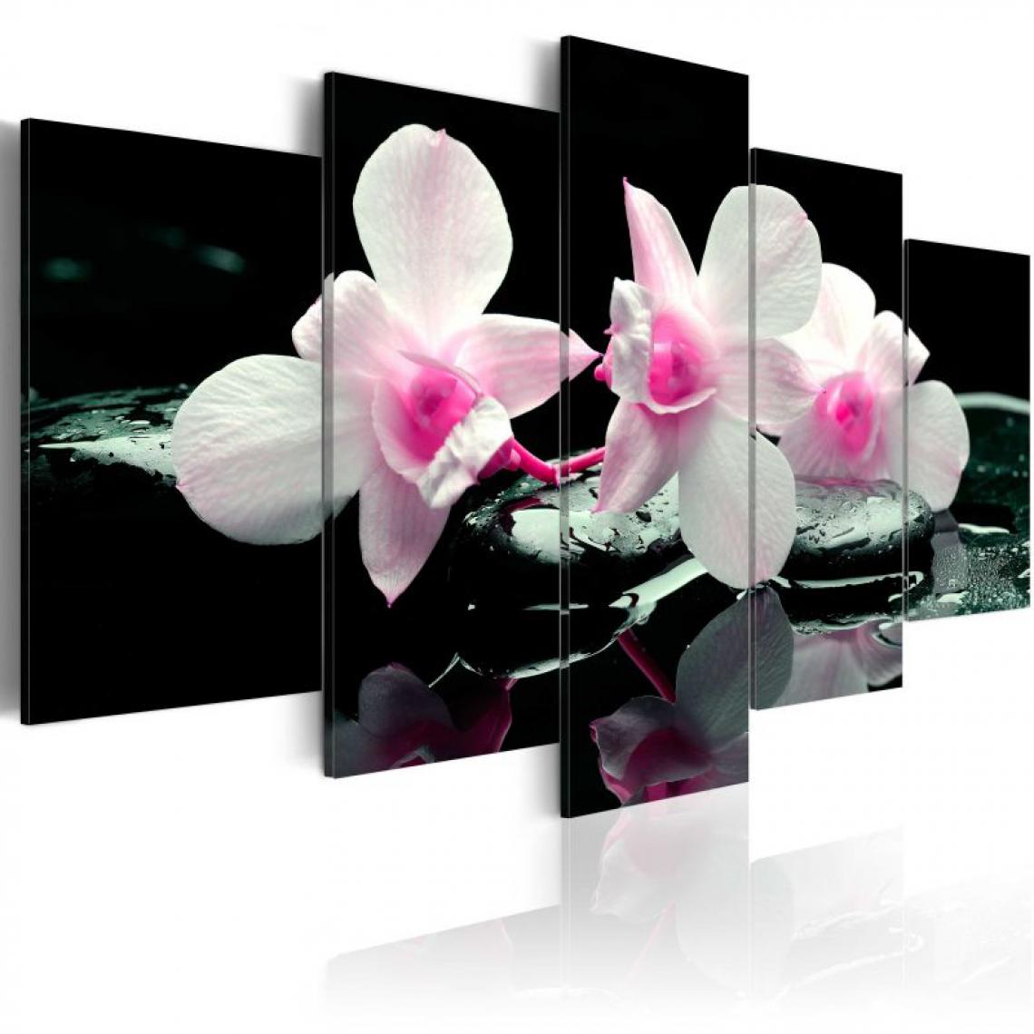 Artgeist - Tableau - Rest of orchids .Taille : 100x50 - Tableaux, peintures