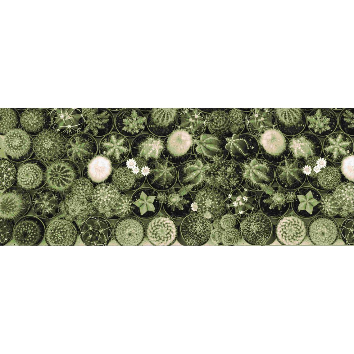 Alter - Chemin de cuisine, 100% Made in Italy, Tapis résistant aux taches avec impression numérique, Tapis antidérapant et lavable, Modèle Cactus - Bodhi, cm 140x52 - Tapis