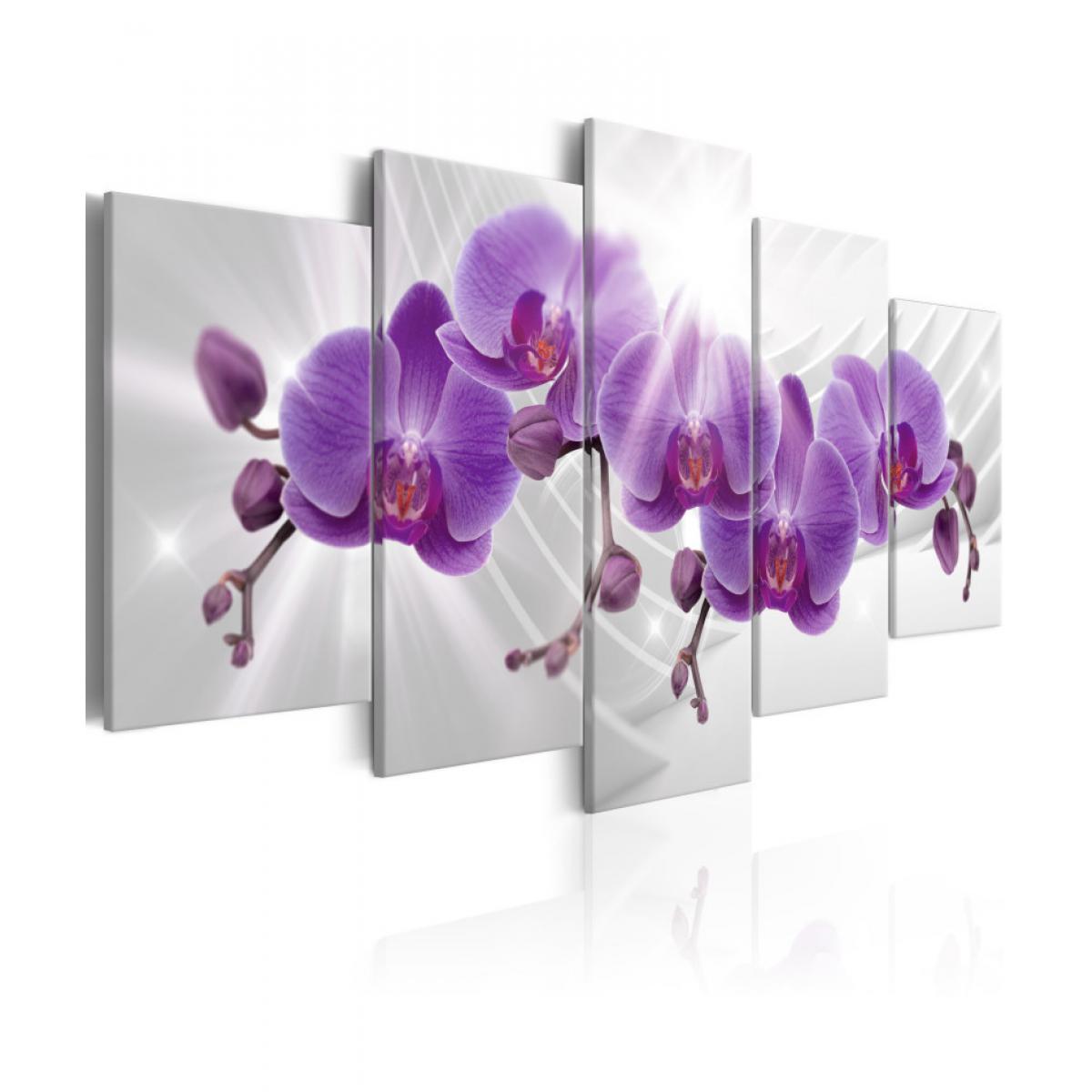Artgeist - Tableau - Abstract Garden: Purple Orchis 200x100 - Tableaux, peintures