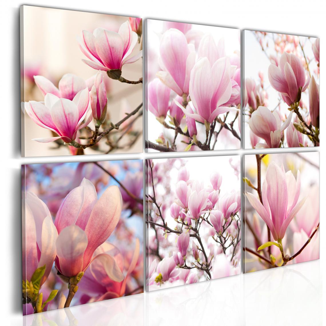 Decoshop26 - Tableau sur toile en 6 panneaux décoration murale image imprimée cadre en bois à suspendre Magnolias dans le Sud 120x80 cm 11_0005417 - Tableaux, peintures
