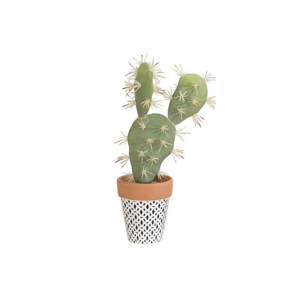 marque generique - FLEUR-PLANTE ARTIFICIELLE - FLEUR SECHEE Cactus Plat - En pot ethnique noir - Plantes et fleurs artificielles