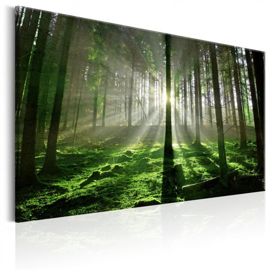 Artgeist - Tableau - Emerald Forest II .Taille : 90x60 - Tableaux, peintures