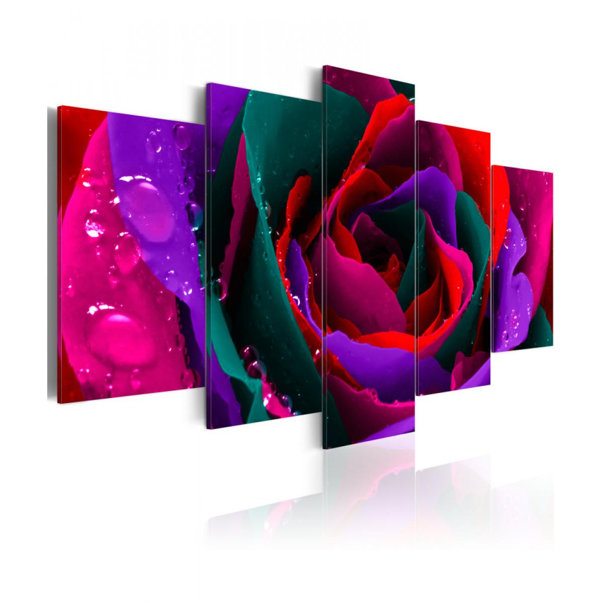 Artgeist - Tableau - Multicoloured rose 100x50 - Tableaux, peintures