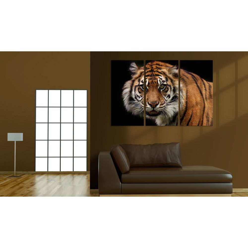 marque generique - 120x80 Tableau Chats Animaux Contemporain Tigre prédateur - Tableaux, peintures