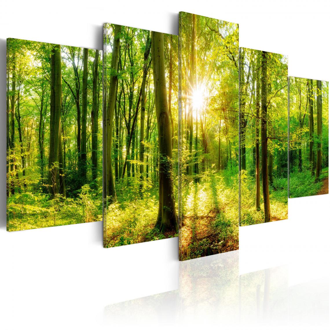 Decoshop26 - Tableau sur toile en 5 panneaux décoration murale image imprimée cadre en bois à suspendre Conte de la forêt 100x50 cm 11_0006365 - Tableaux, peintures