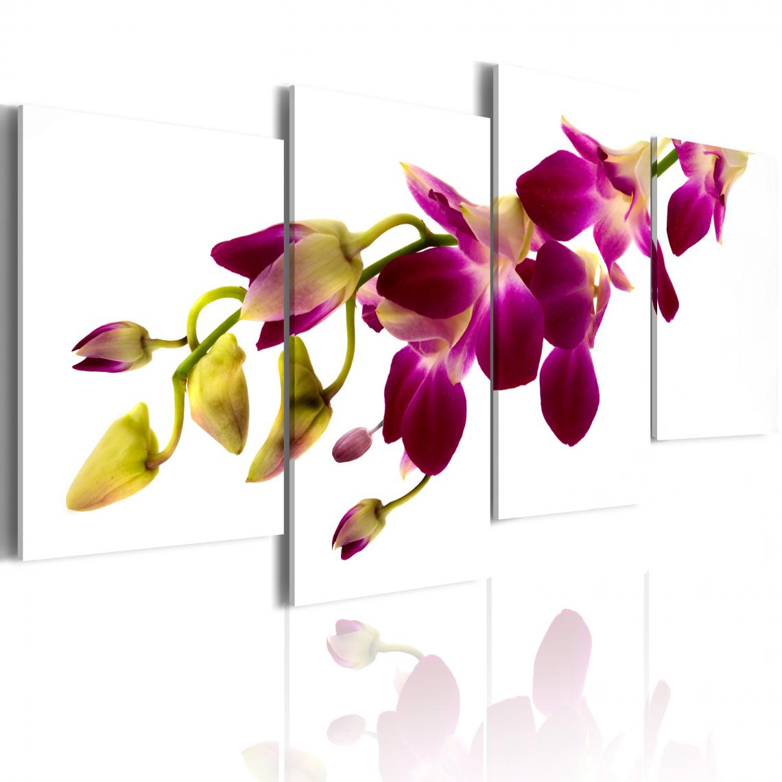 Decoshop26 - Tableau sur toile en 4 panneaux décoration murale image imprimée cadre en bois à suspendre Eclat d'une orchidée 80x45 cm 11_0005520 - Tableaux, peintures