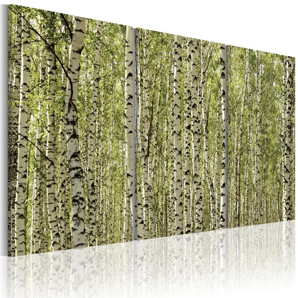 Artgeist - Tableau - Forêt de bouleaux 60x40 - Tableaux, peintures