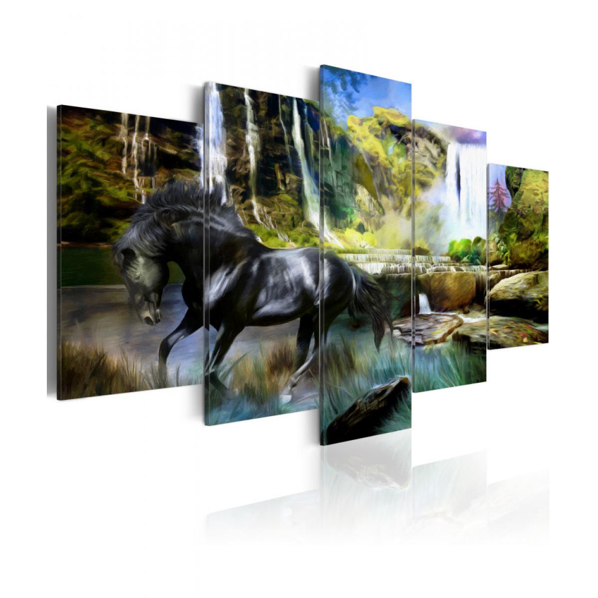 Artgeist - Tableau - Cheval noir sur fond de Cascade Paradis 200x100 - Tableaux, peintures