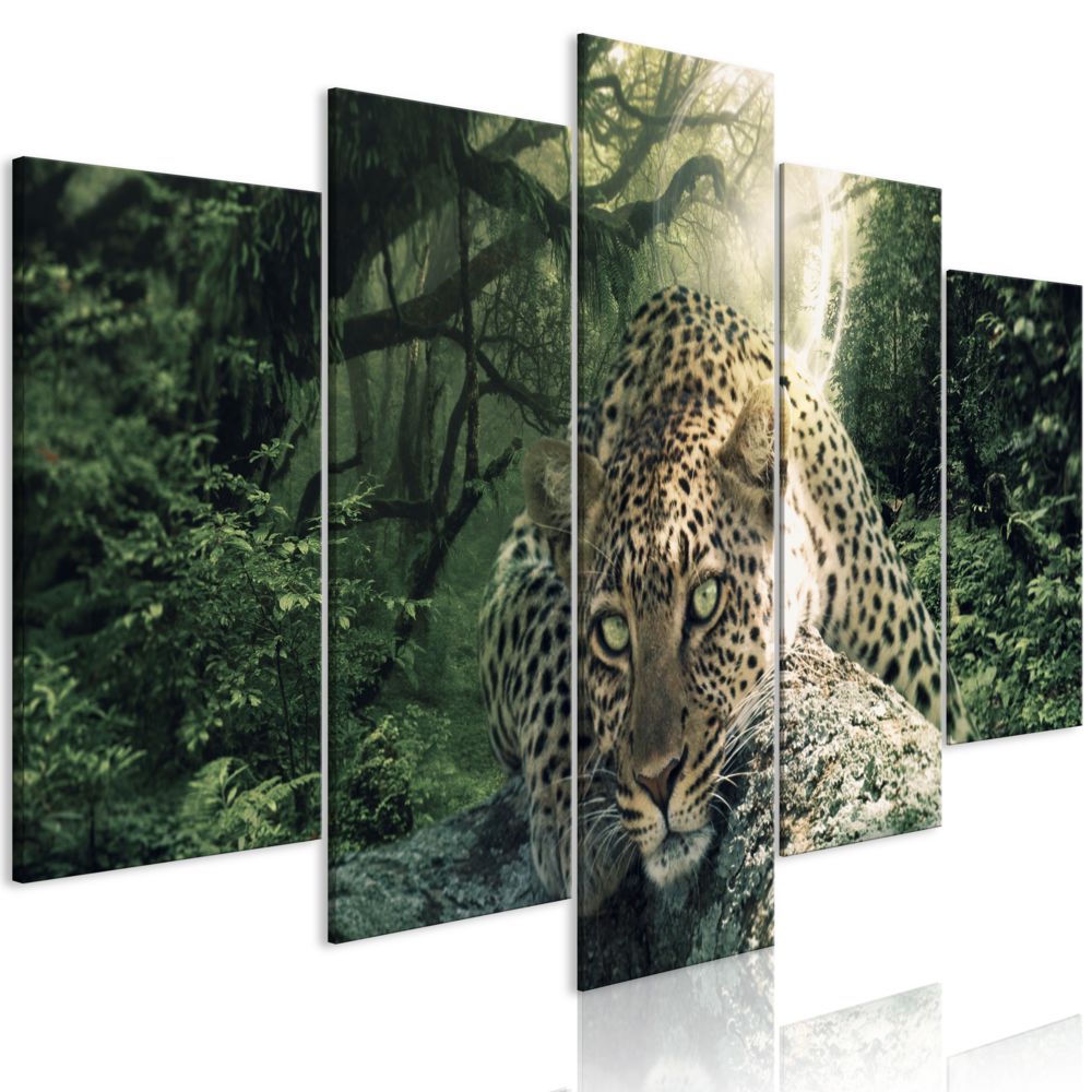 Bimago - Tableau - Leopard Lying (5 Parts) Wide Pale Green - Décoration, image, art | Animaux | Chats | - Tableaux, peintures