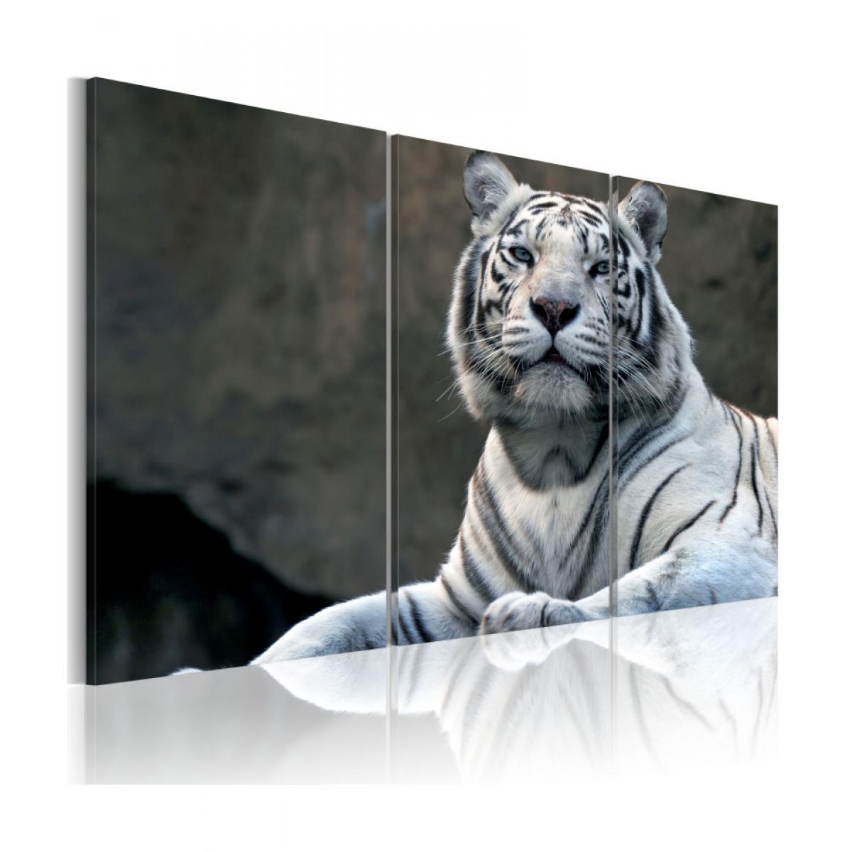Artgeist - Tableau - Tigre blanc 90x60 - Tableaux, peintures
