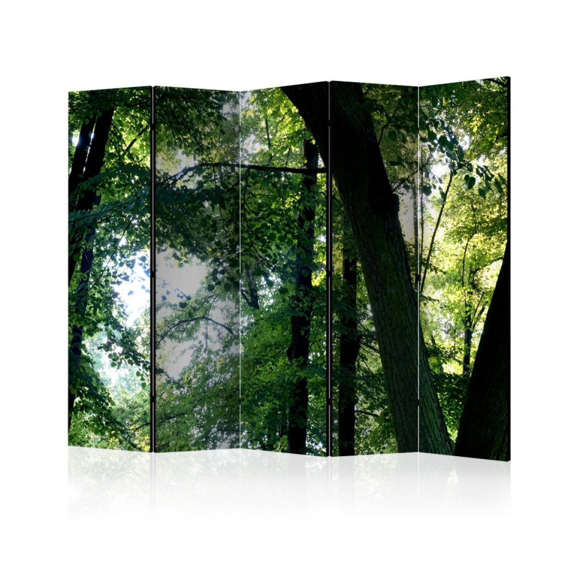 Artgeist - Paravent 5 volets - Spring in the Park II [Room Dividers] 225x172 - Paravents