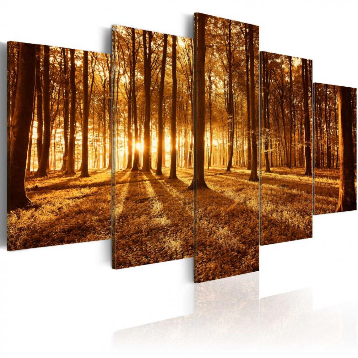 Artgeist - Tableau - Amber forest .Taille : 200x100 - Tableaux, peintures