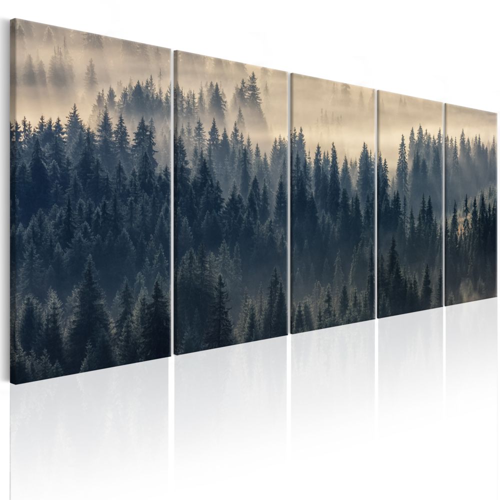 Bimago - Tableau - Fir in the Fog - Décoration, image, art | Paysages | Forêt | - Tableaux, peintures