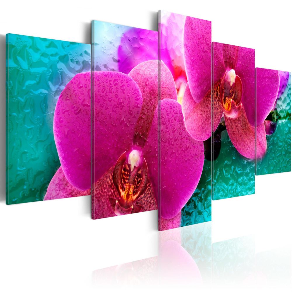 Artgeist - Tableau - Exotic orchids 200x100 - Tableaux, peintures