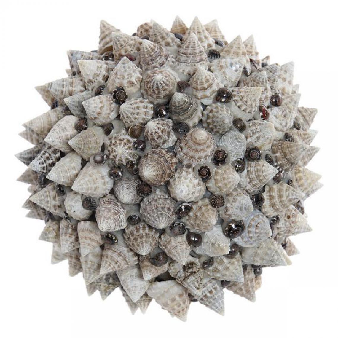 Unknown - Boule Décorative DKD Home Decor Coquillages Naturel (12 x 12 cm) - Objets déco