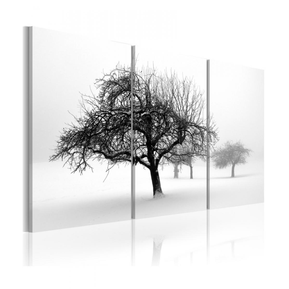 Artgeist - Tableau - Arbres dans le brouillard 60x40 - Tableaux, peintures
