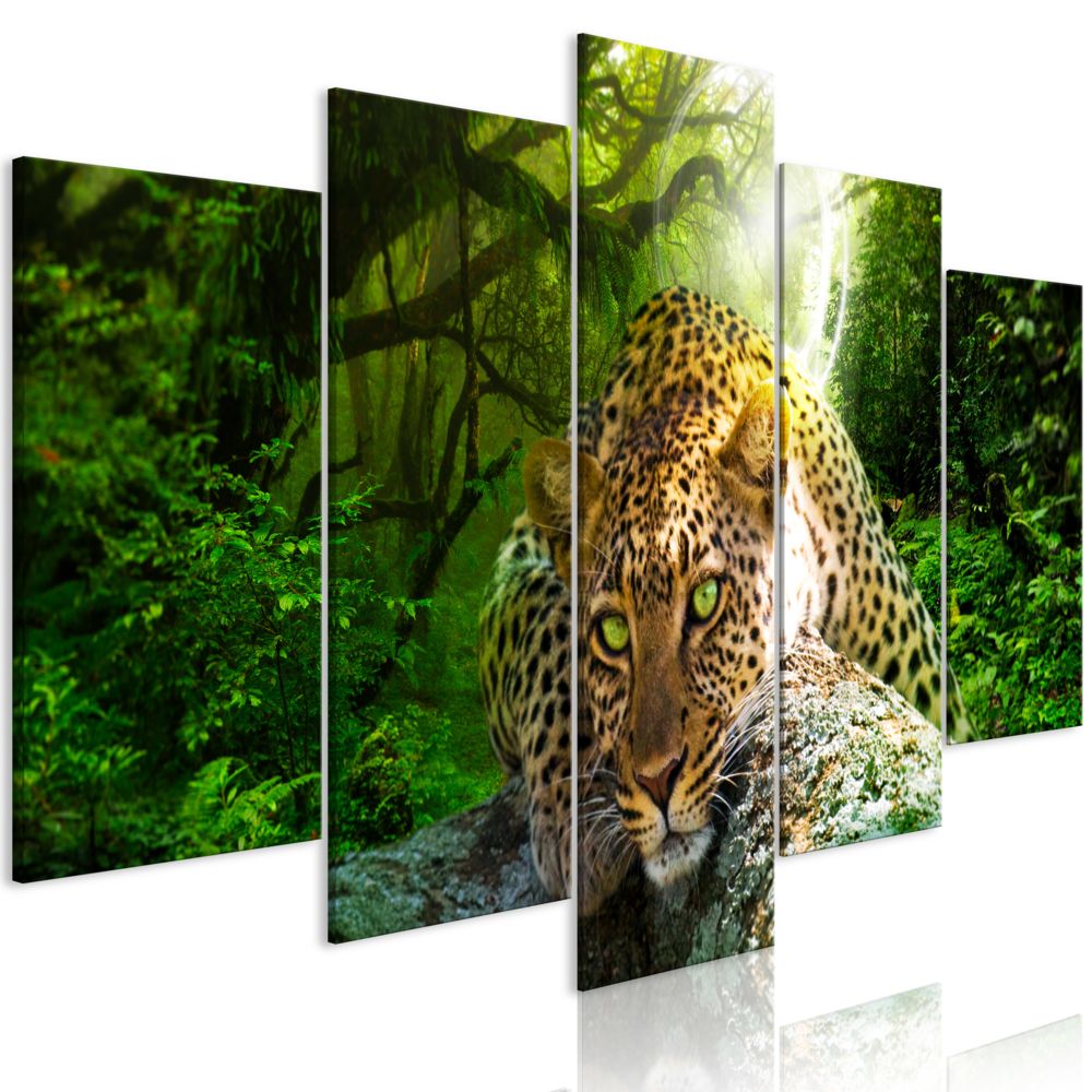Bimago - Tableau - Leopard Lying (5 Parts) Wide Green - Décoration, image, art | Animaux | Chats | - Tableaux, peintures