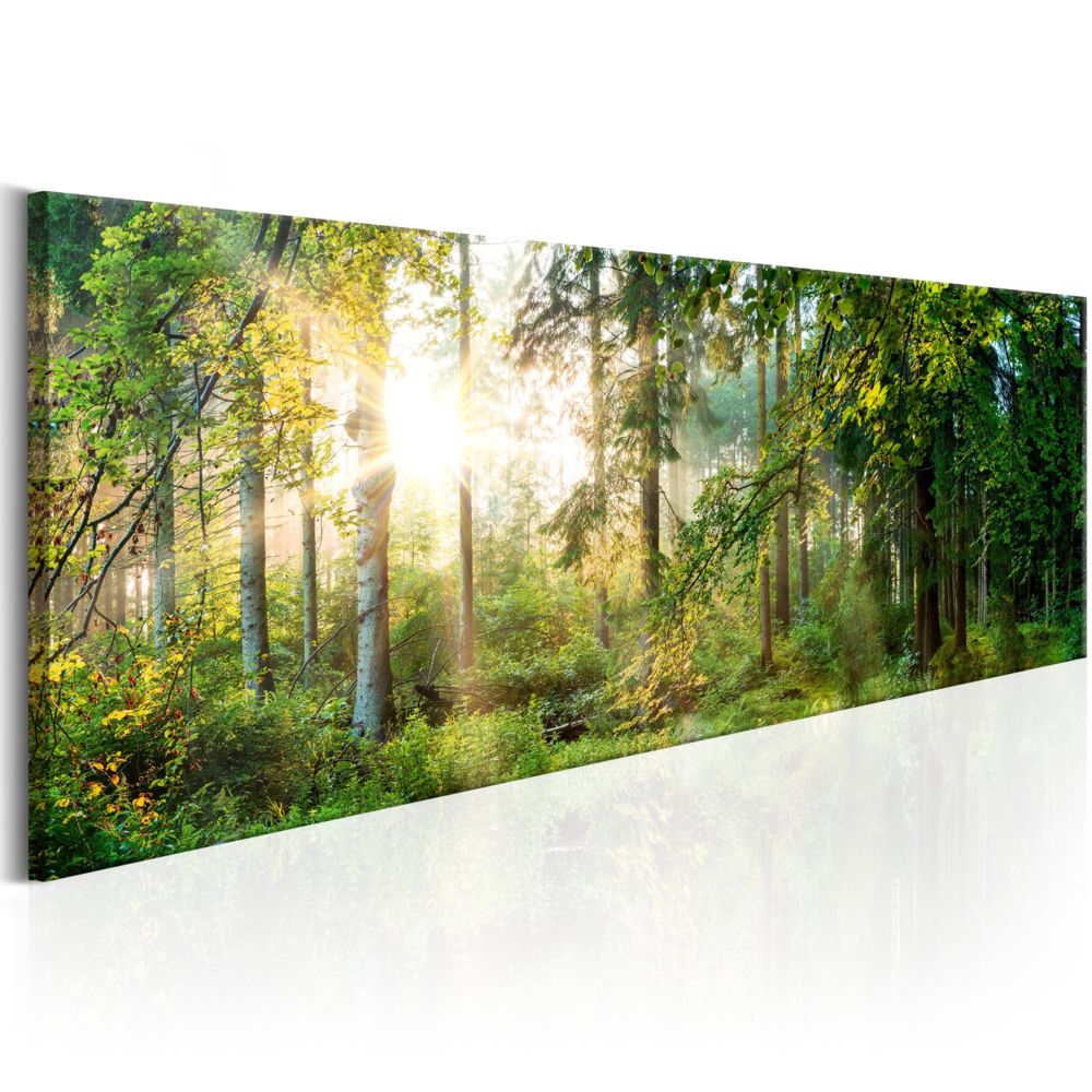 Bimago - Tableau - Forest Shelter - Décoration, image, art | Paysages | Forêt | - Tableaux, peintures