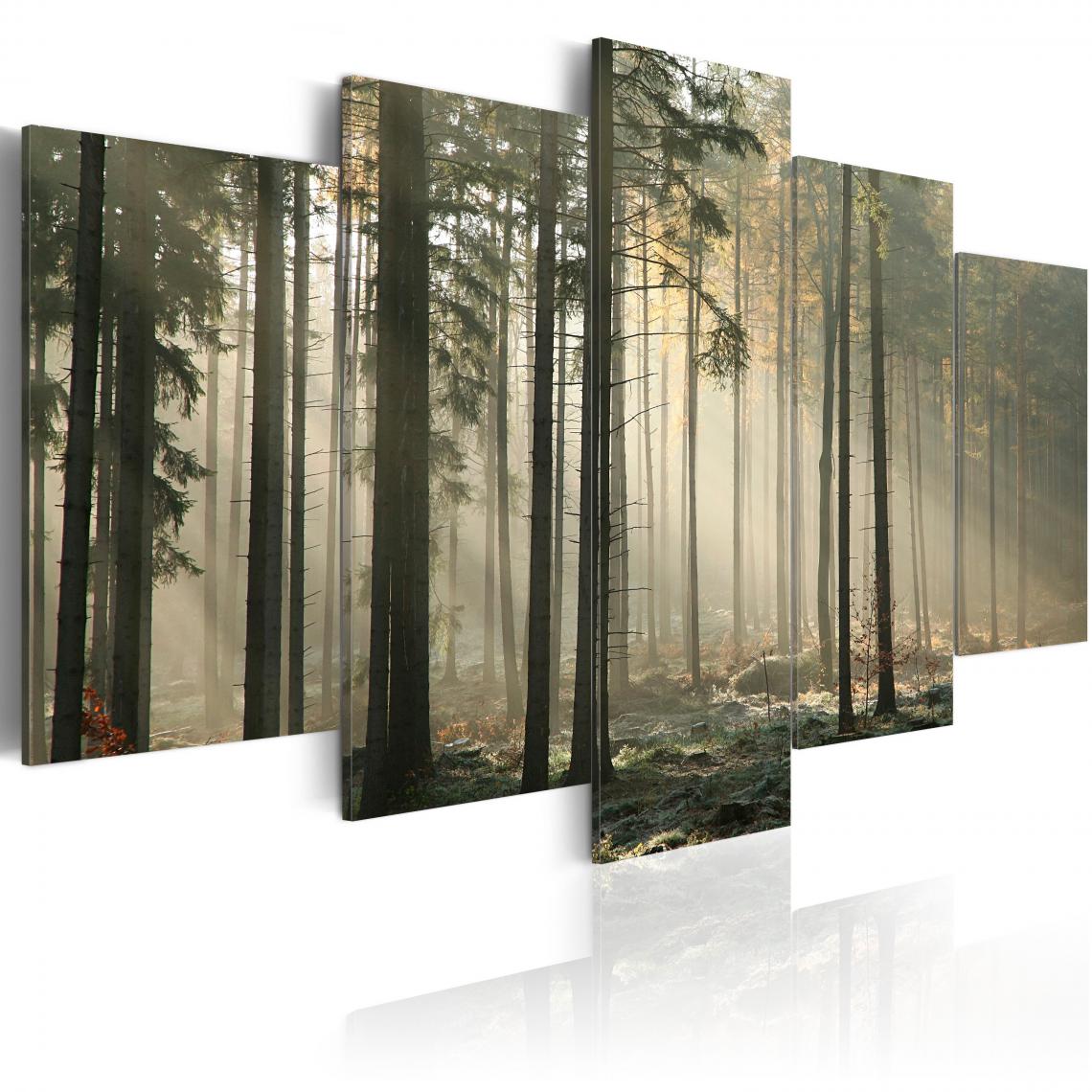 Decoshop26 - Tableau sur toile en 5 panneaux décoration murale image imprimée cadre en bois à suspendre Lumière dans une sombre forêt 100x50 cm 11_0006117 - Tableaux, peintures