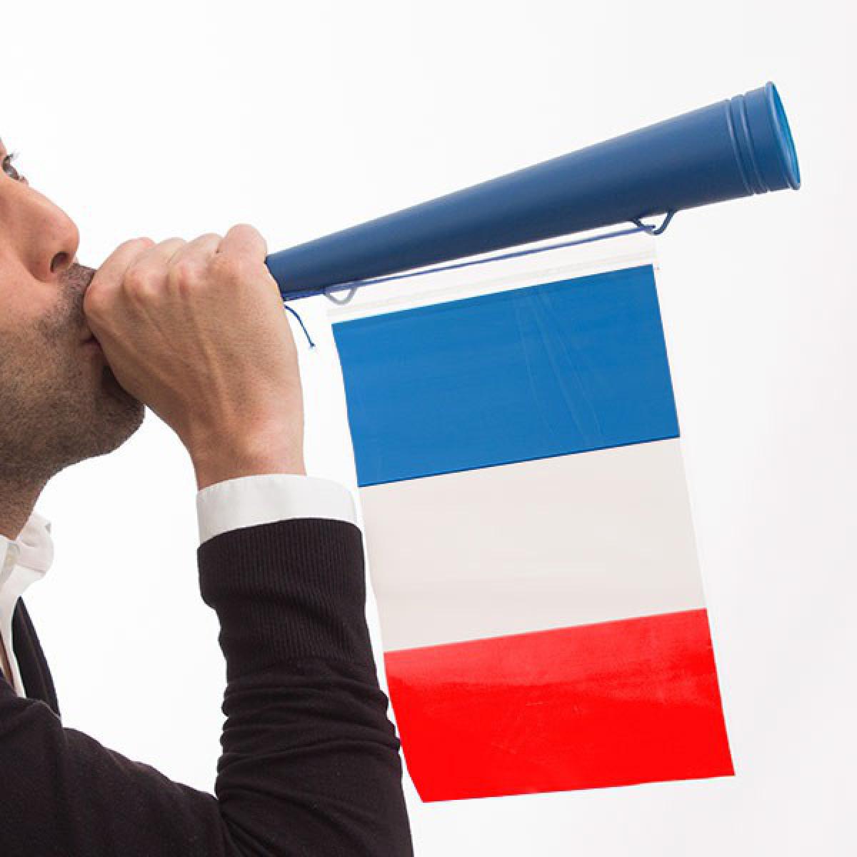 Totalcadeau - Trompette à drapeau français - Supporter Pas cher - Objets déco