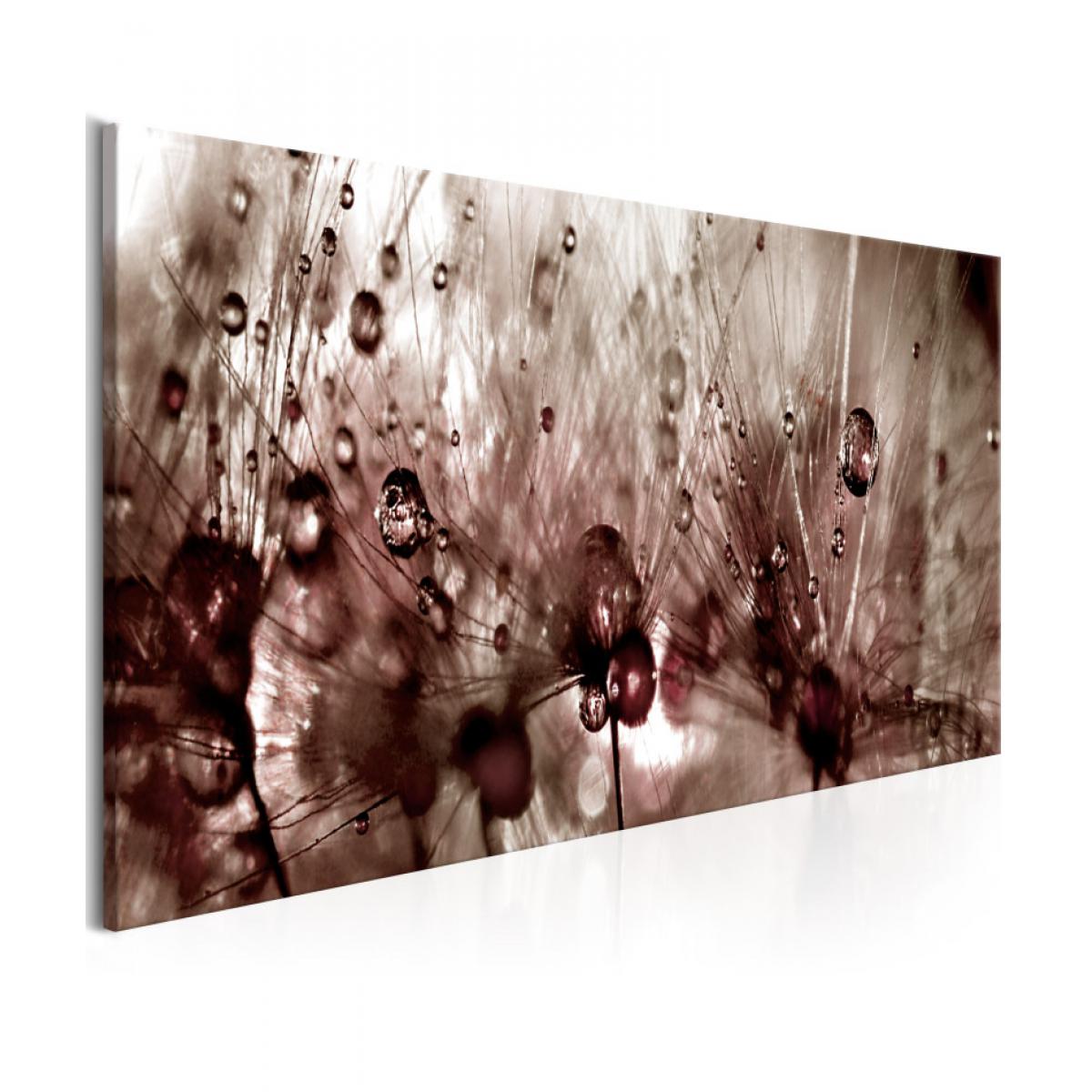 Artgeist - Tableau - Dandelions After Rain 150x50 - Tableaux, peintures