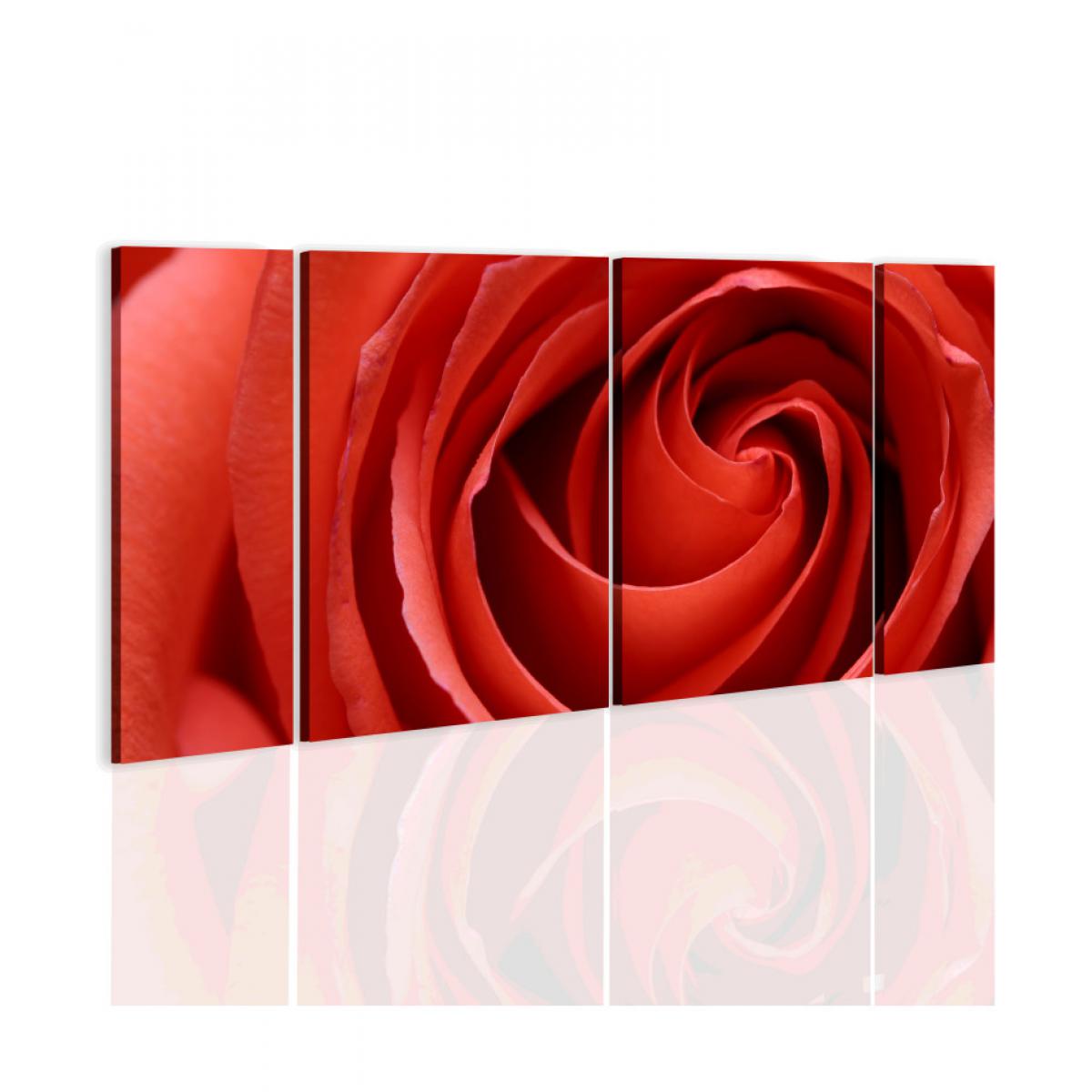 Artgeist - Tableau - Passionate rose 120x60 - Tableaux, peintures