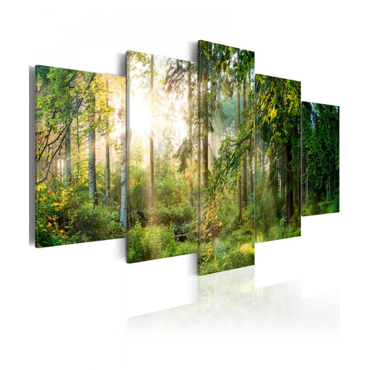 Artgeist - Tableau - Green Sanctuary 100x50 - Tableaux, peintures