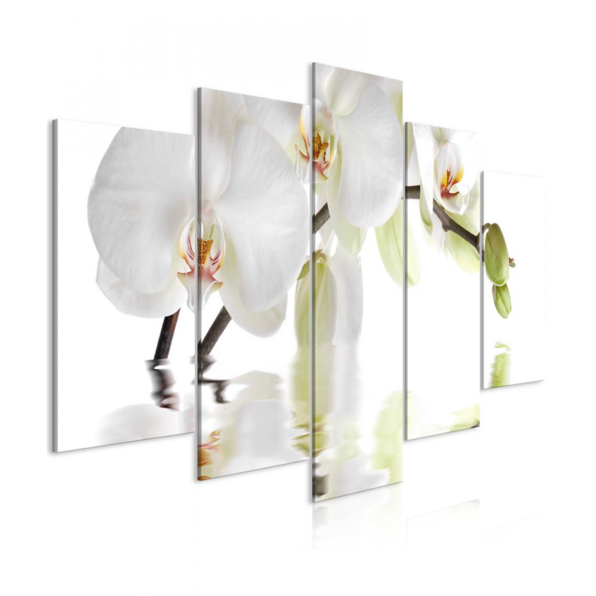 Artgeist - Tableau - Wonderful Orchid (5 Parts) Wide 200x100 - Tableaux, peintures