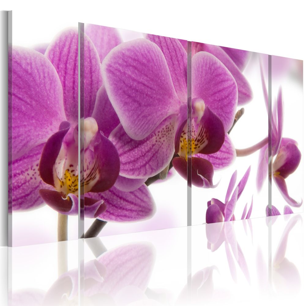 Bimago - Tableau - Marvelous orchid - Décoration, image, art | Fleurs | Orchidées | - Tableaux, peintures