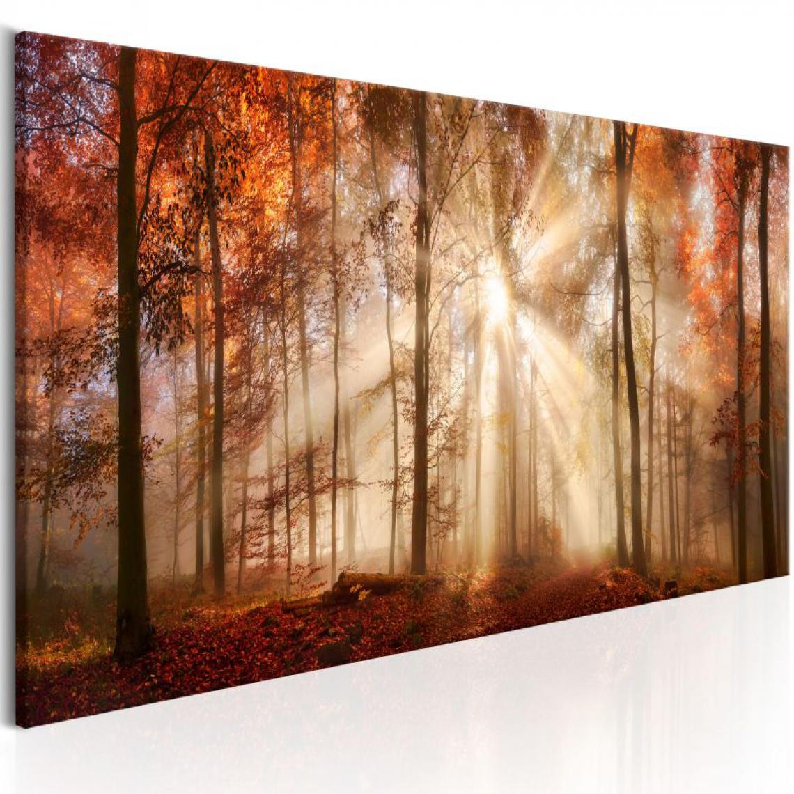 Artgeist - Tableau - Autumnal Dawn .Taille : 120x40 - Tableaux, peintures