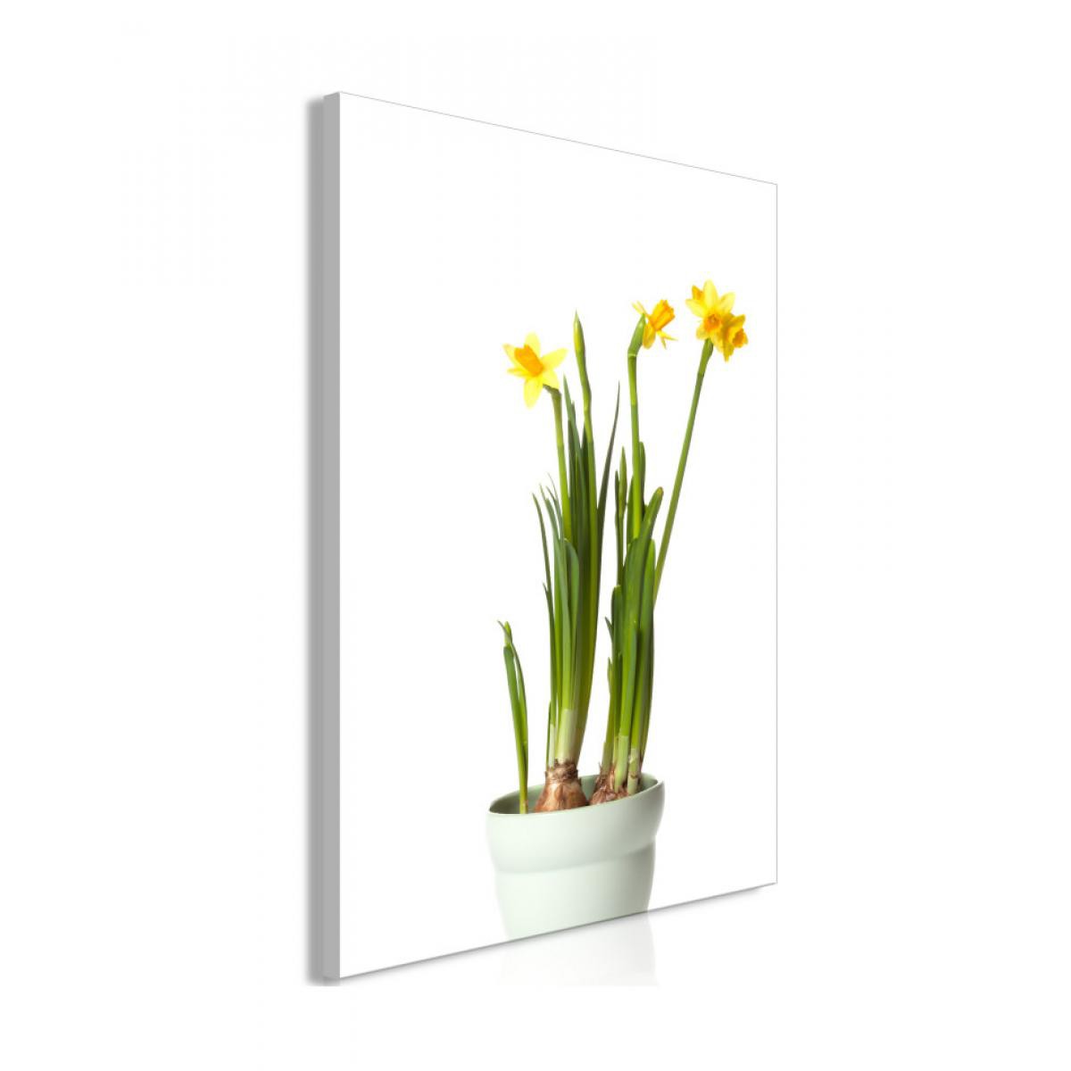 Artgeist - Tableau - Narcissus (1 Part) Vertical 60x90 - Tableaux, peintures