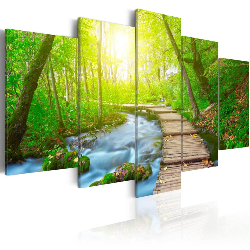 Artgeist - Tableau - Sunny Forest 100x50 - Tableaux, peintures