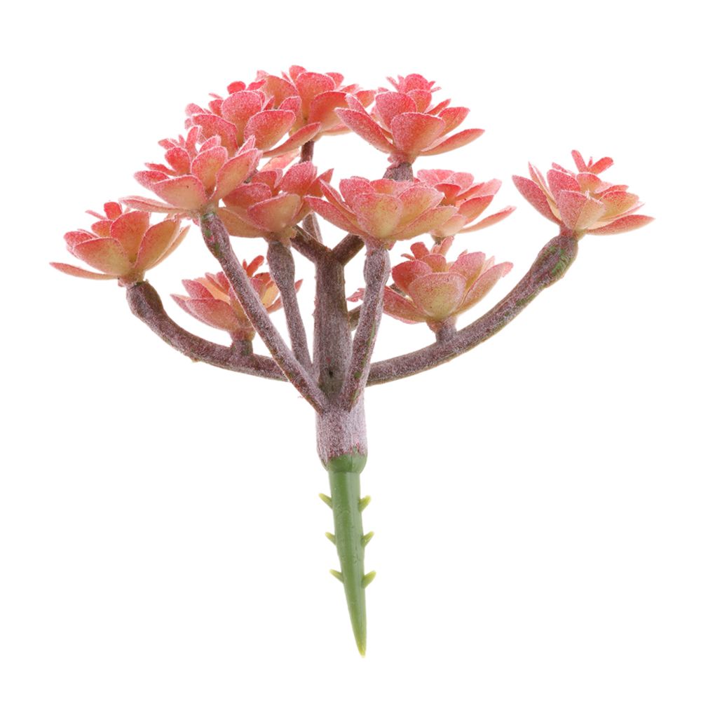 marque generique - Plante succulente artificielle cactus décor maison # 11 1 pièce 9 x 8cm rouge - Plantes et fleurs artificielles