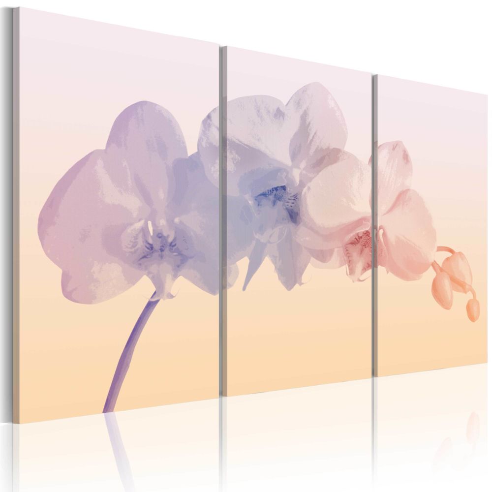 Bimago - Tableau | Orchid spectrum | 120x80 | | - Tableaux, peintures