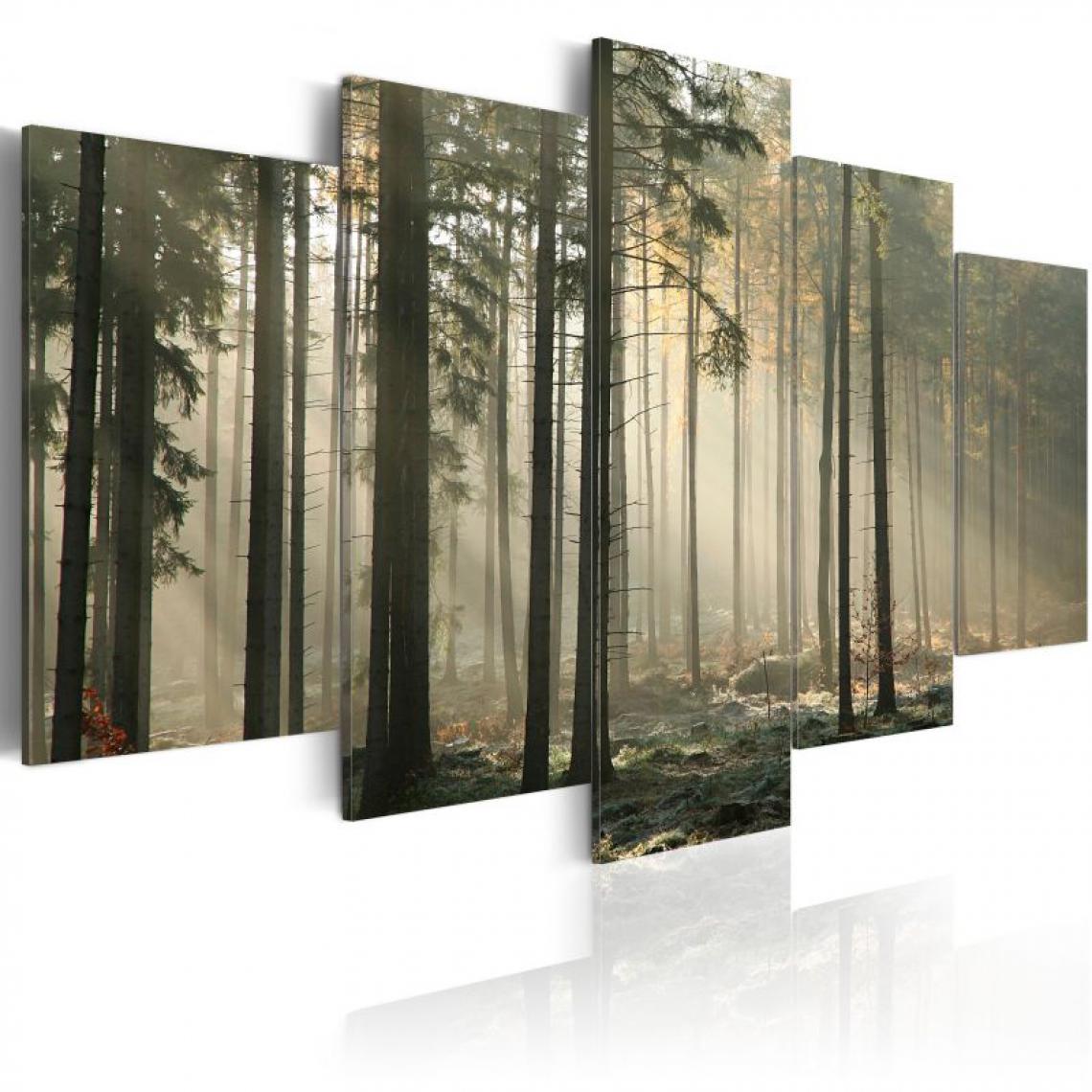 Artgeist - Tableau - Lumière dans une sombre forêt .Taille : 100x50 - Tableaux, peintures