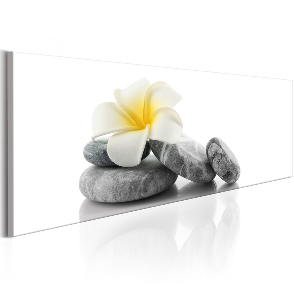 Bimago - Tableau - White Lotus - Décoration, image, art | Zen | - Tableaux, peintures