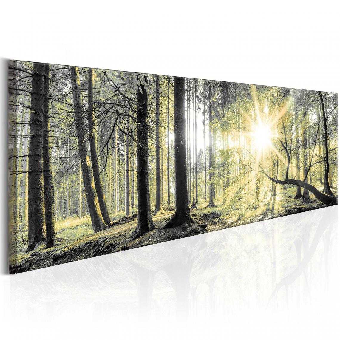 Decoshop26 - Tableau sur toile décoration murale image imprimée cadre en bois à suspendre Forêt du matin 150x50 cm 11_0006268 - Tableaux, peintures