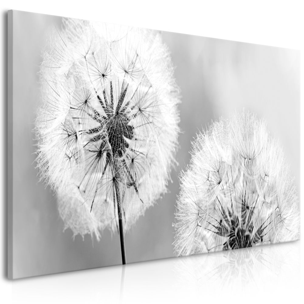 Bimago - Tableau - Fluffy Dandelions (1 Part) Grey Wide - Décoration, image, art | Fleurs variées | 100x45 cm | - Tableaux, peintures