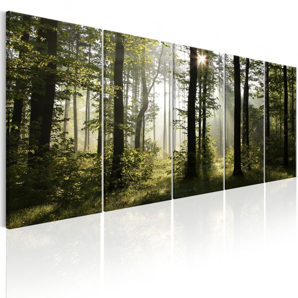 Bimago - Tableau - Summer Fog - Décoration, image, art | Paysages | Forêt | - Tableaux, peintures