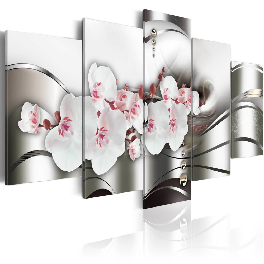 Bimago - Tableau - The beauty of orchids - Décoration, image, art | - Tableaux, peintures