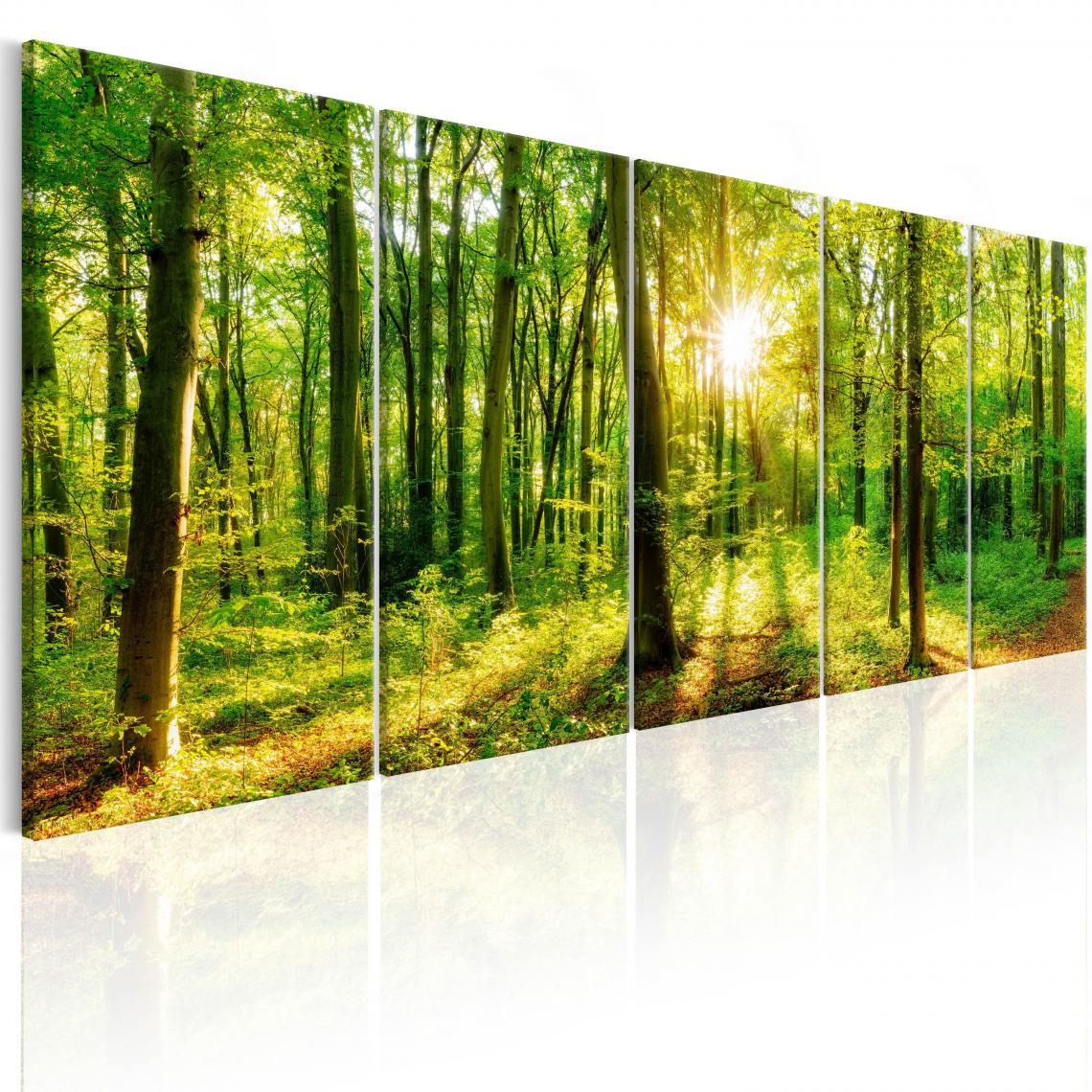 Decoshop26 - Tableau sur toile en 5 panneaux décoration murale image imprimée cadre en bois à suspendre Forêt magiquet 200x80 cm 11_0006360 - Tableaux, peintures